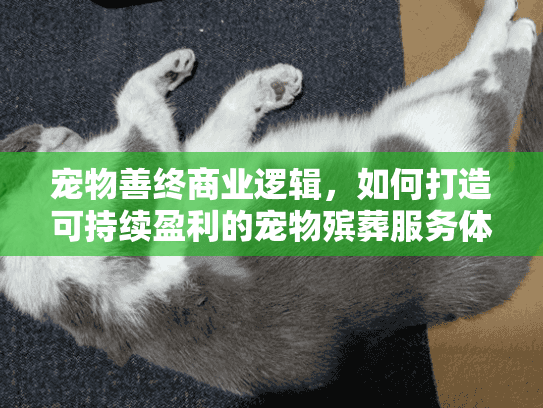 宠物善终商业逻辑，如何打造可持续盈利的宠物殡葬服务体系？