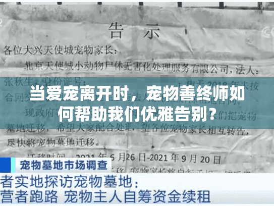 当爱宠离开时，宠物善终师如何帮助我们优雅告别？