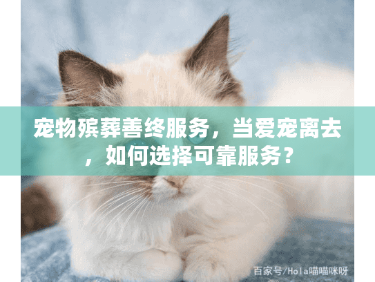 宠物殡葬善终服务，当爱宠离去，如何选择可靠服务？