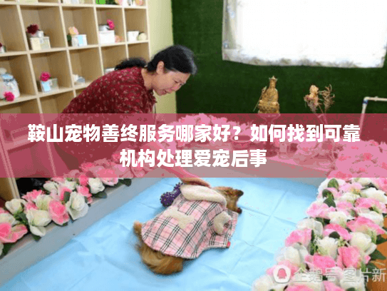 鞍山宠物善终服务哪家好？如何找到可靠机构处理爱宠后事