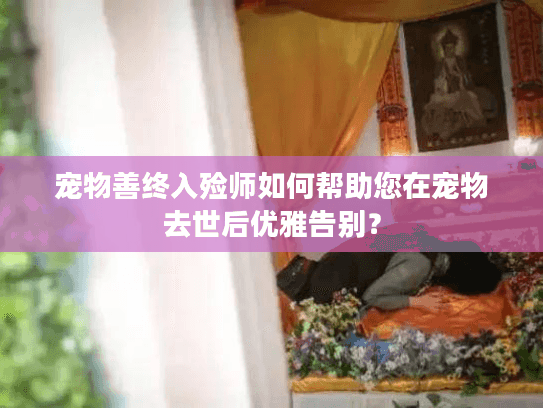 宠物善终入殓师如何帮助您在宠物去世后优雅告别？