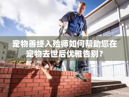 宠物善终入殓师如何帮助您在宠物去世后优雅告别？