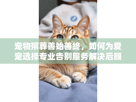 宠物殡葬善始善终，如何为爱宠选择专业告别服务解决后顾之忧？