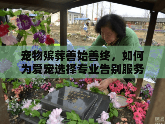 宠物殡葬善始善终，如何为爱宠选择专业告别服务解决后顾之忧？